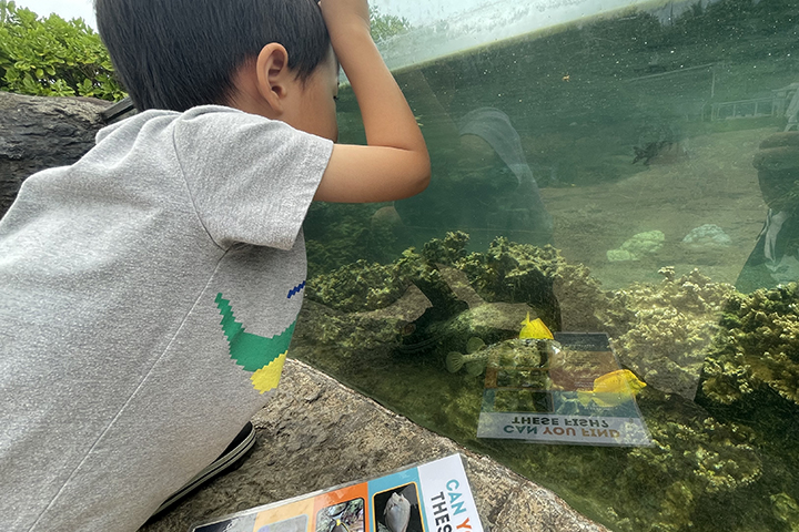 ワイキキ水族館