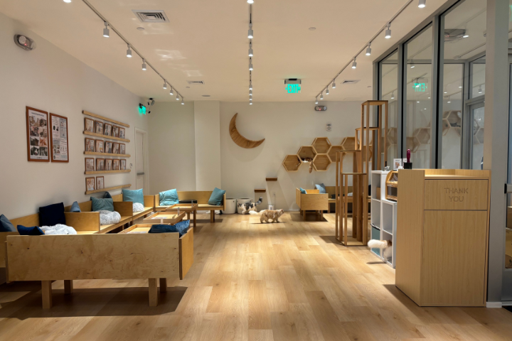 キャットカフェモフ、アラモアナセンター