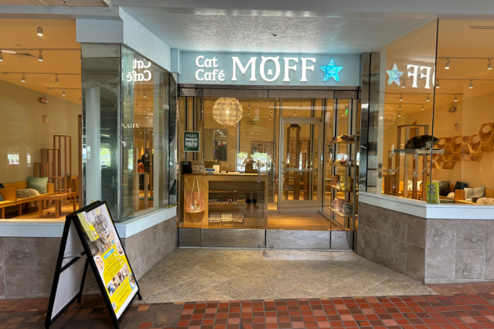 キャットカフェモフ、アラモアナセンター