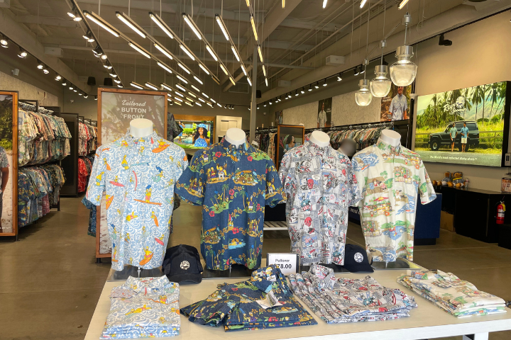 レインスプーナー